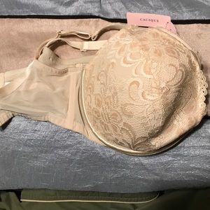 Lane Bryant NWT 38DDD lace plunge bra